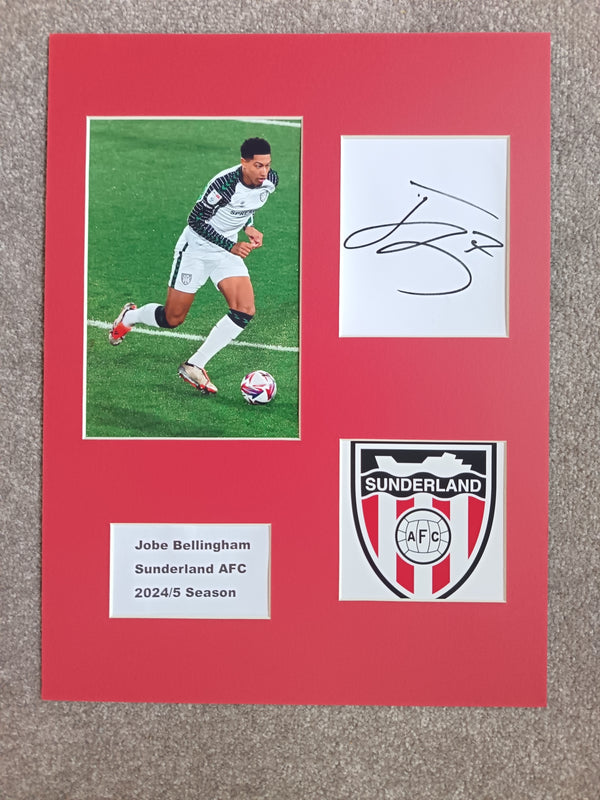 Jobe Bellingham Signed 16x12 Sunderland Display